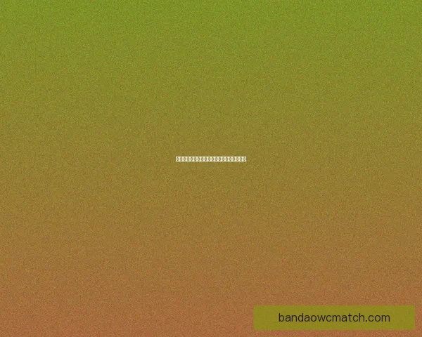 半岛体育世界杯盛况回顾与精彩瞬间全景解析